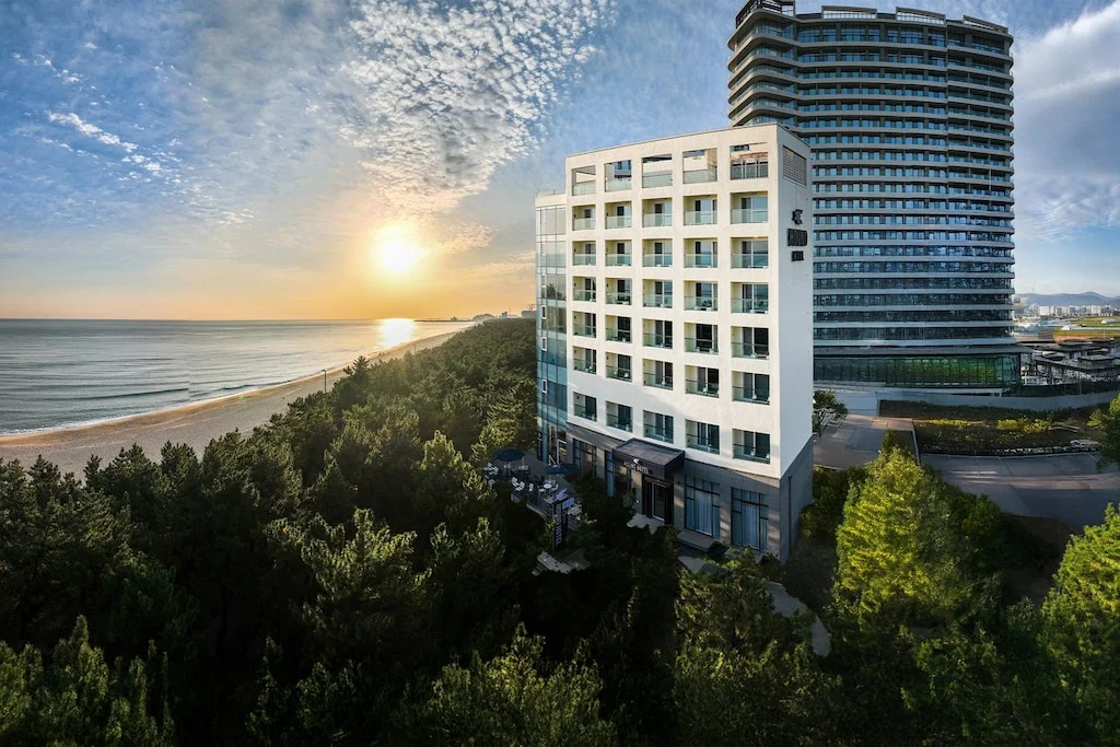 Best Gangneung Hotels for Your 2026 Coastal Escape - Top Picks for International Tourists